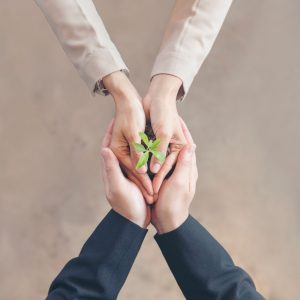 Natural-extracts-(23)