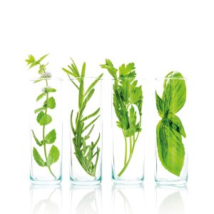 Natural-extracts-(26)